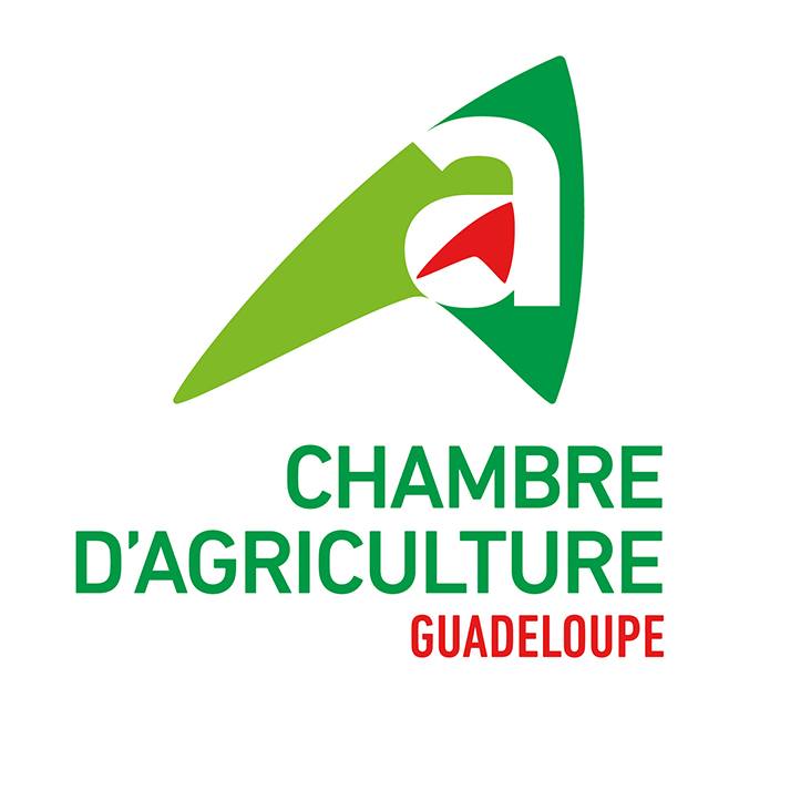 ca-guadeloupe